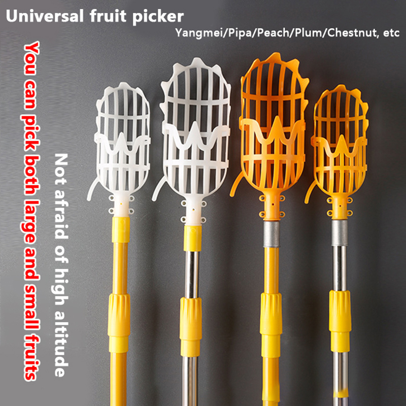 Picking Loquat Picking Bayberr - Gardening Tools Organizer 评论和价格