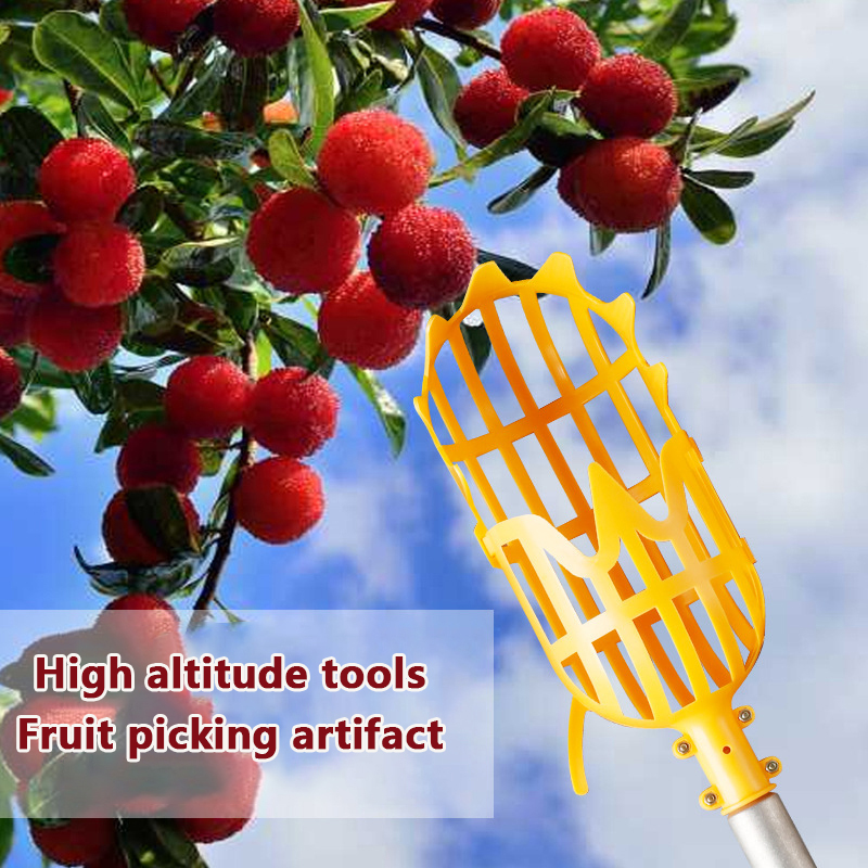 Picking Loquat Picking Bayberr - Gardening Tools Organizer 评论和价格