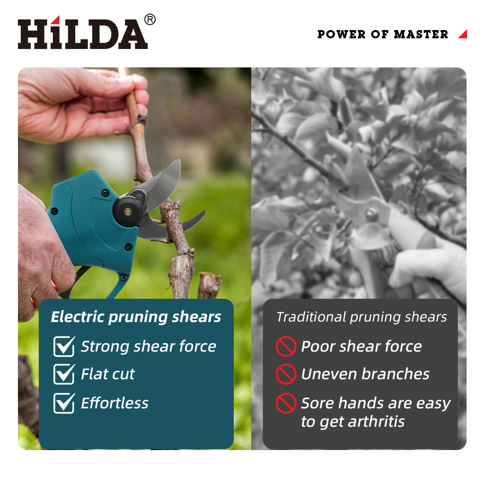 HILDA 18V Brushless Cordless E - Gardening Tools Basic 评论和价格