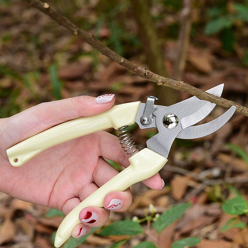 Labor‑Saving Garden Pruning Sh - Gardening Tools Basic 评论和价格