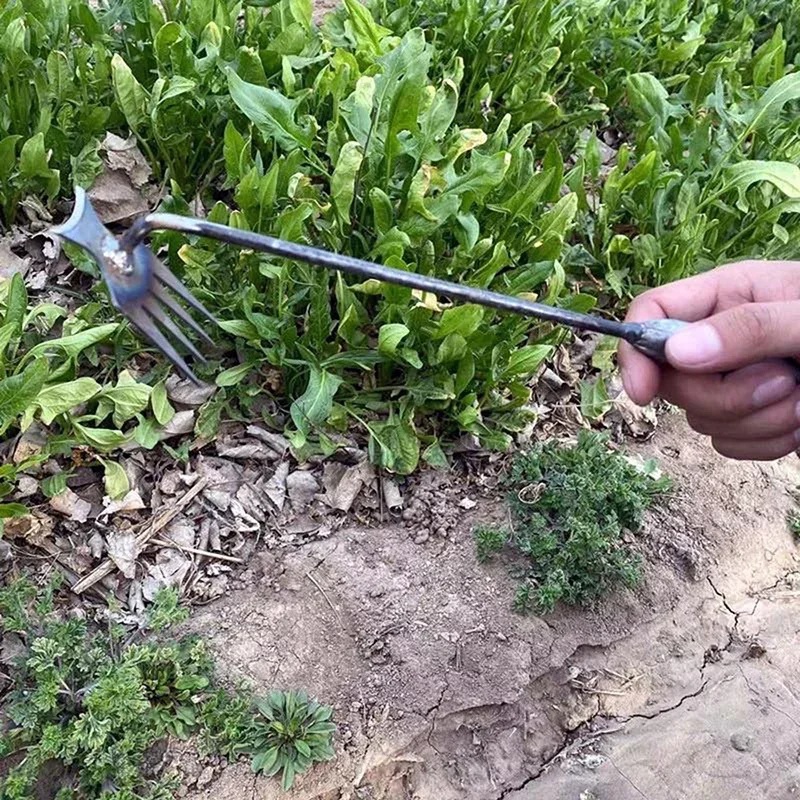 Garden Weeders Grass Hand Weed - Weed Puller 评论和价格