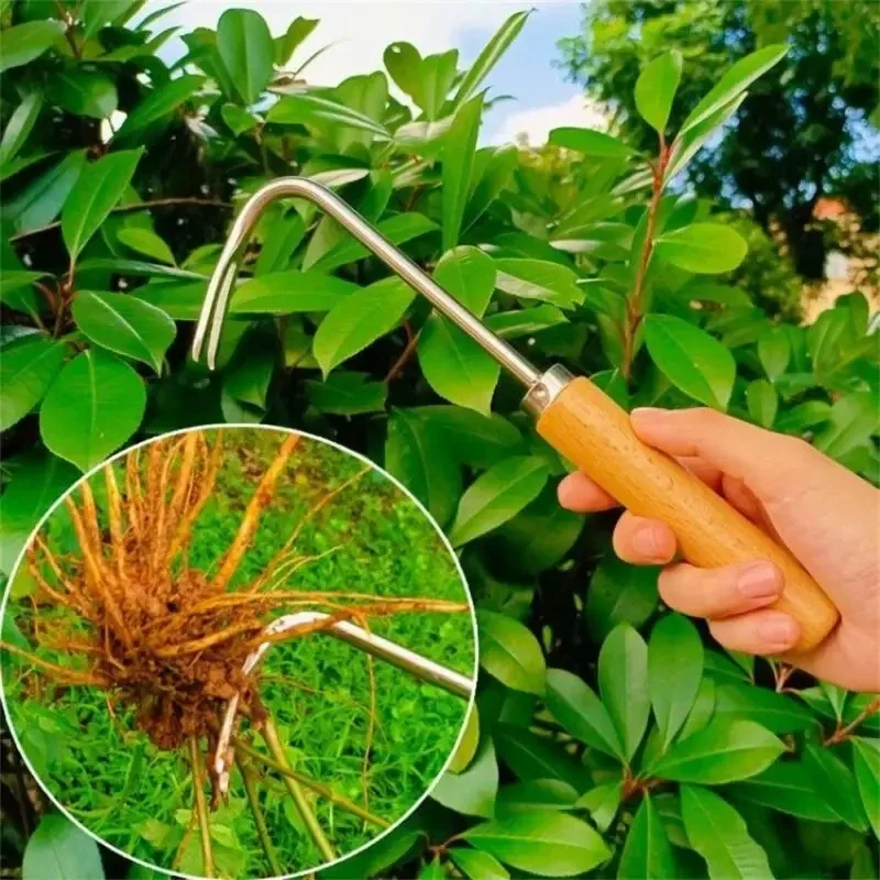 Stainless Steel Gardening Weed - Weed Puller 评论和价格