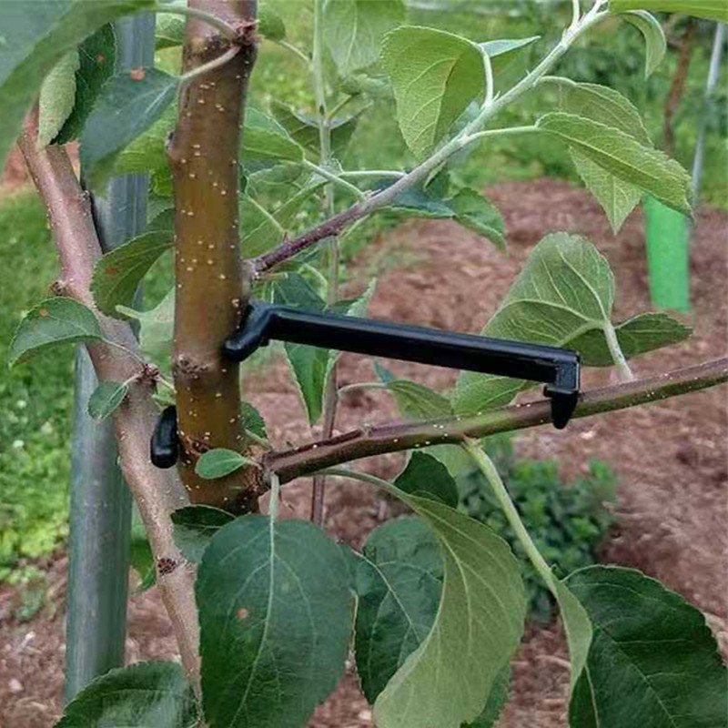 Fruit Tree Branch Puller Plant - Root Watering Spike 评论和价格