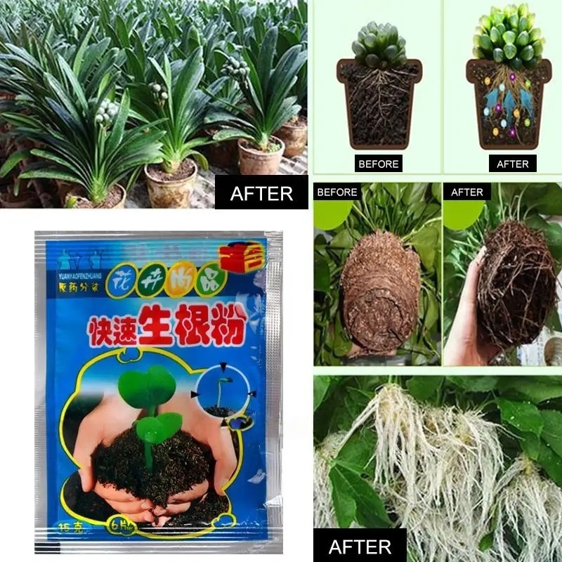 5pcs Fast Rooting Powder Plant - Root Watering Spike 评论和价格