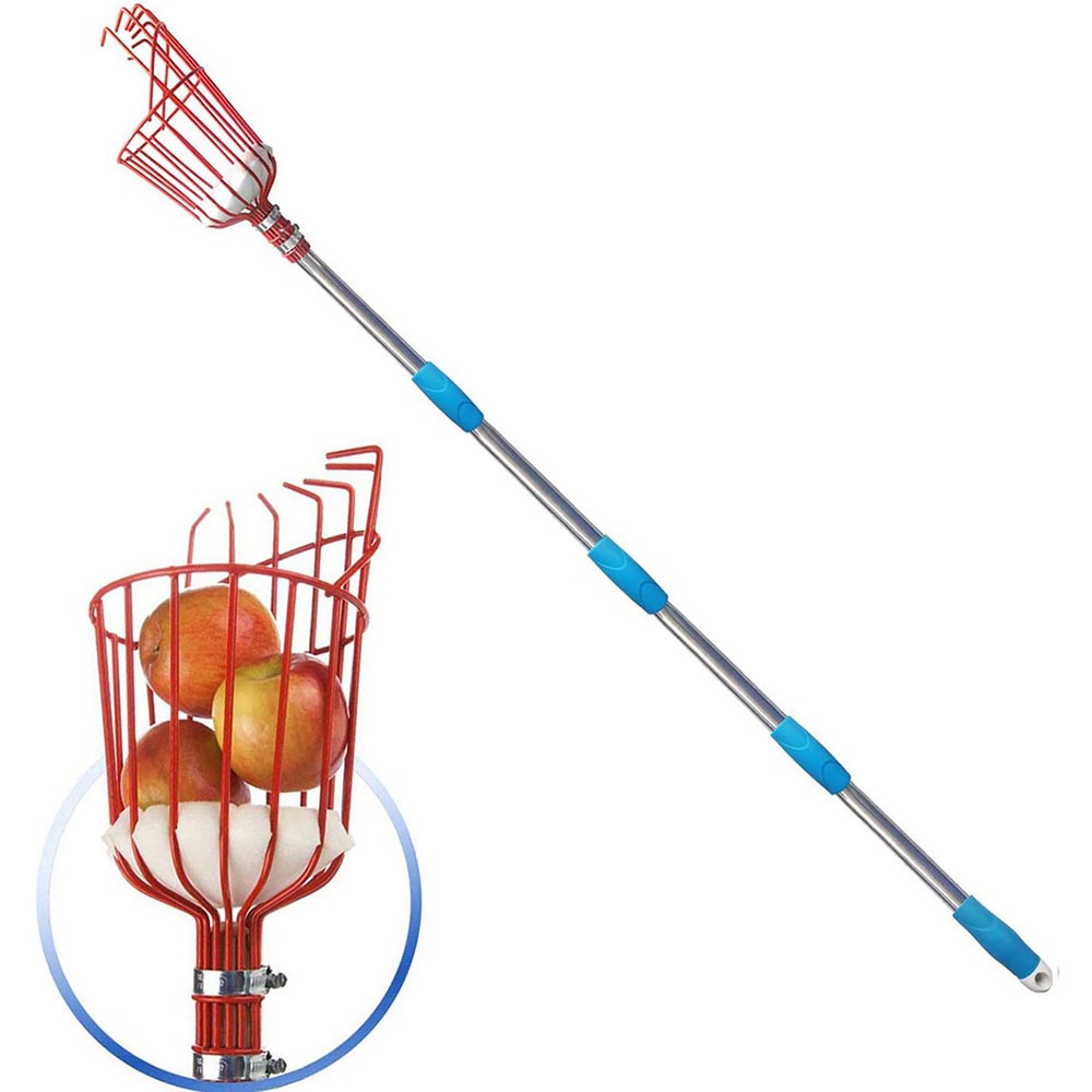 260cm Fruit Picker, Adjustable - Gardening Tools Organizer 评论和价格